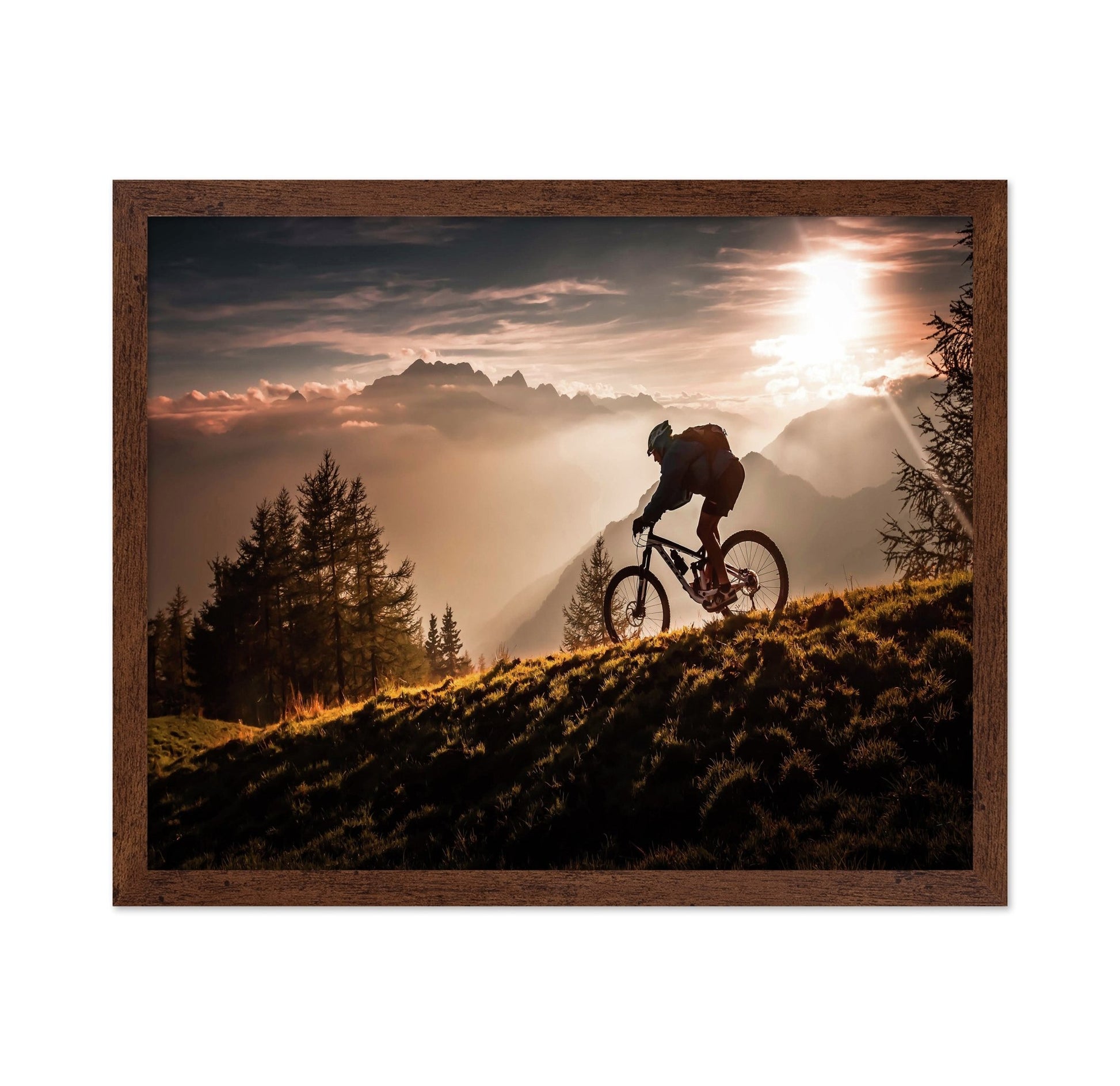 Golden Trail Cyclist