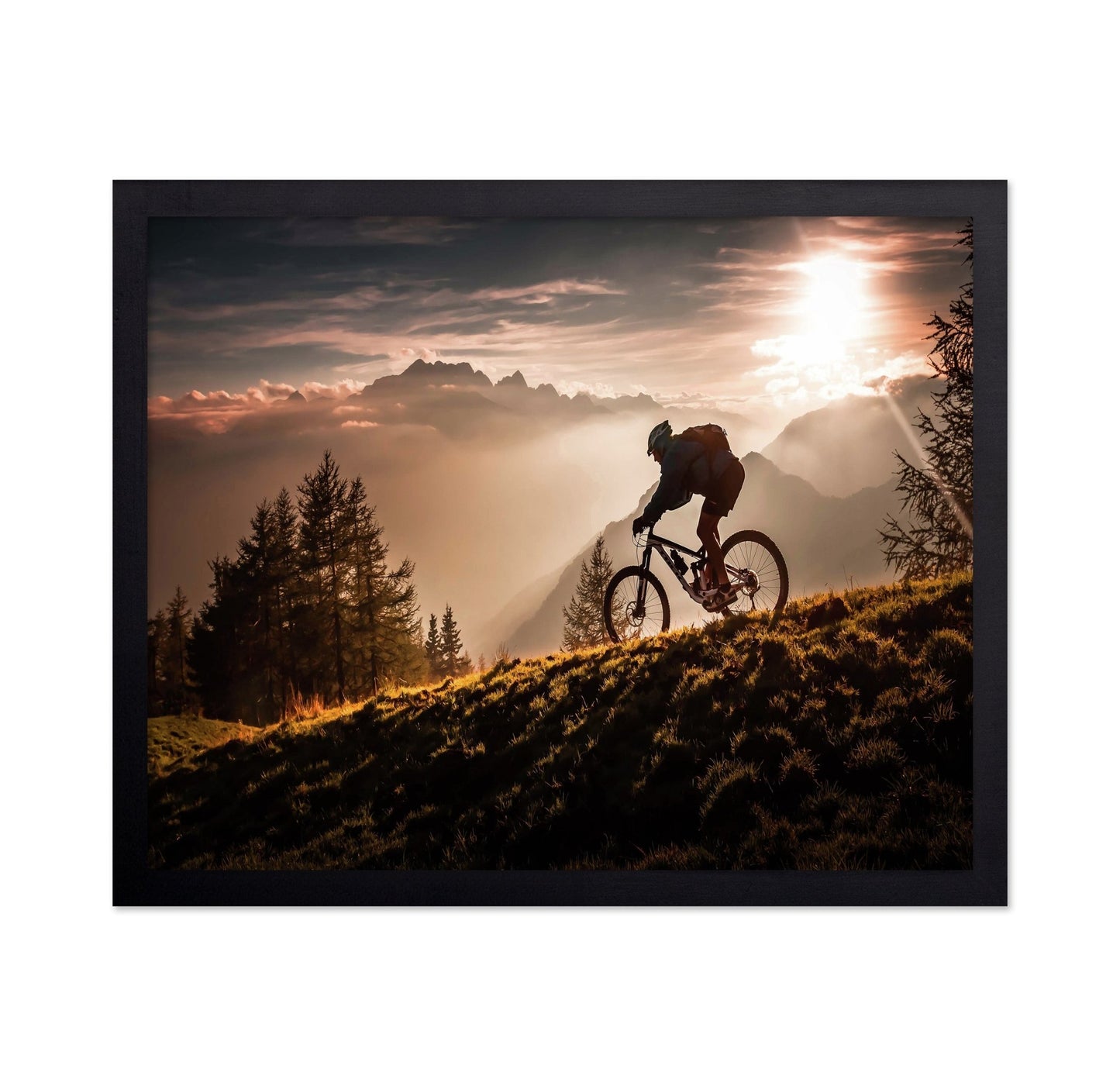 Golden Trail Cyclist