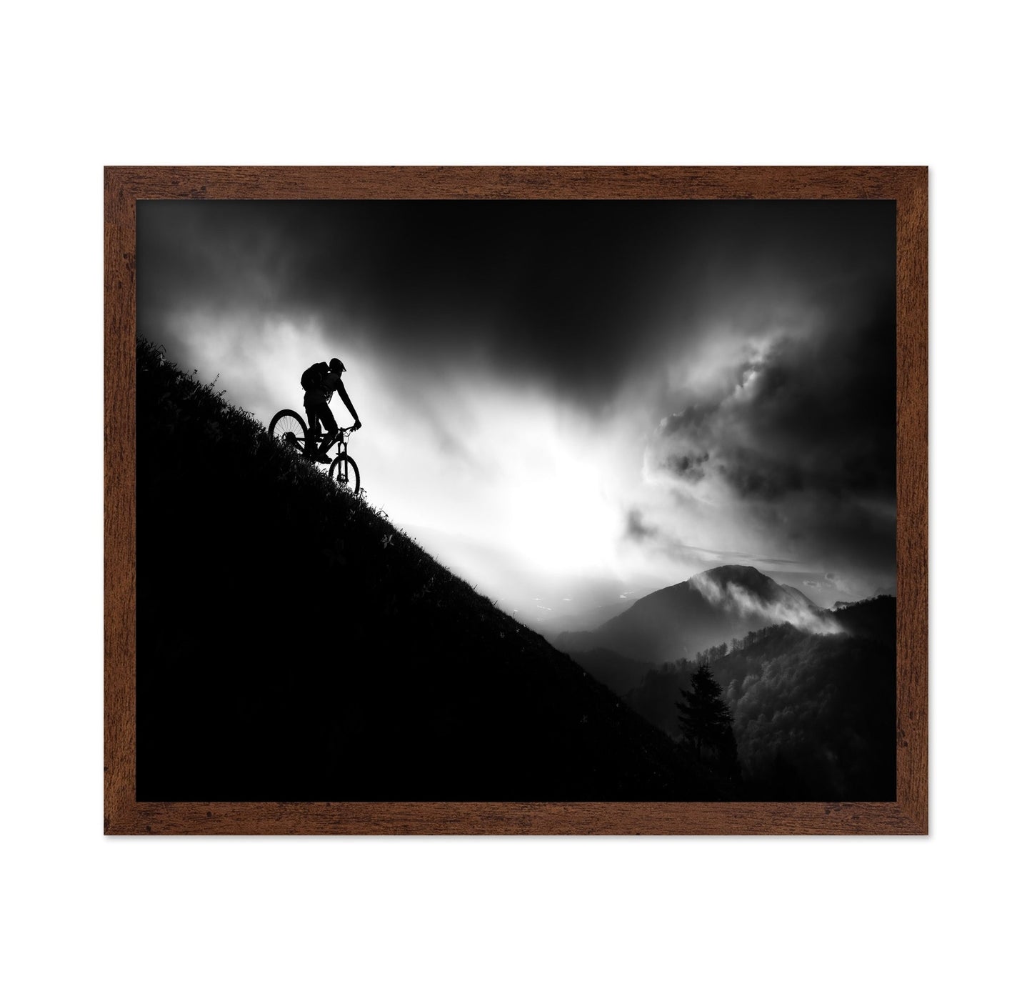Mountain Bike Silhouette