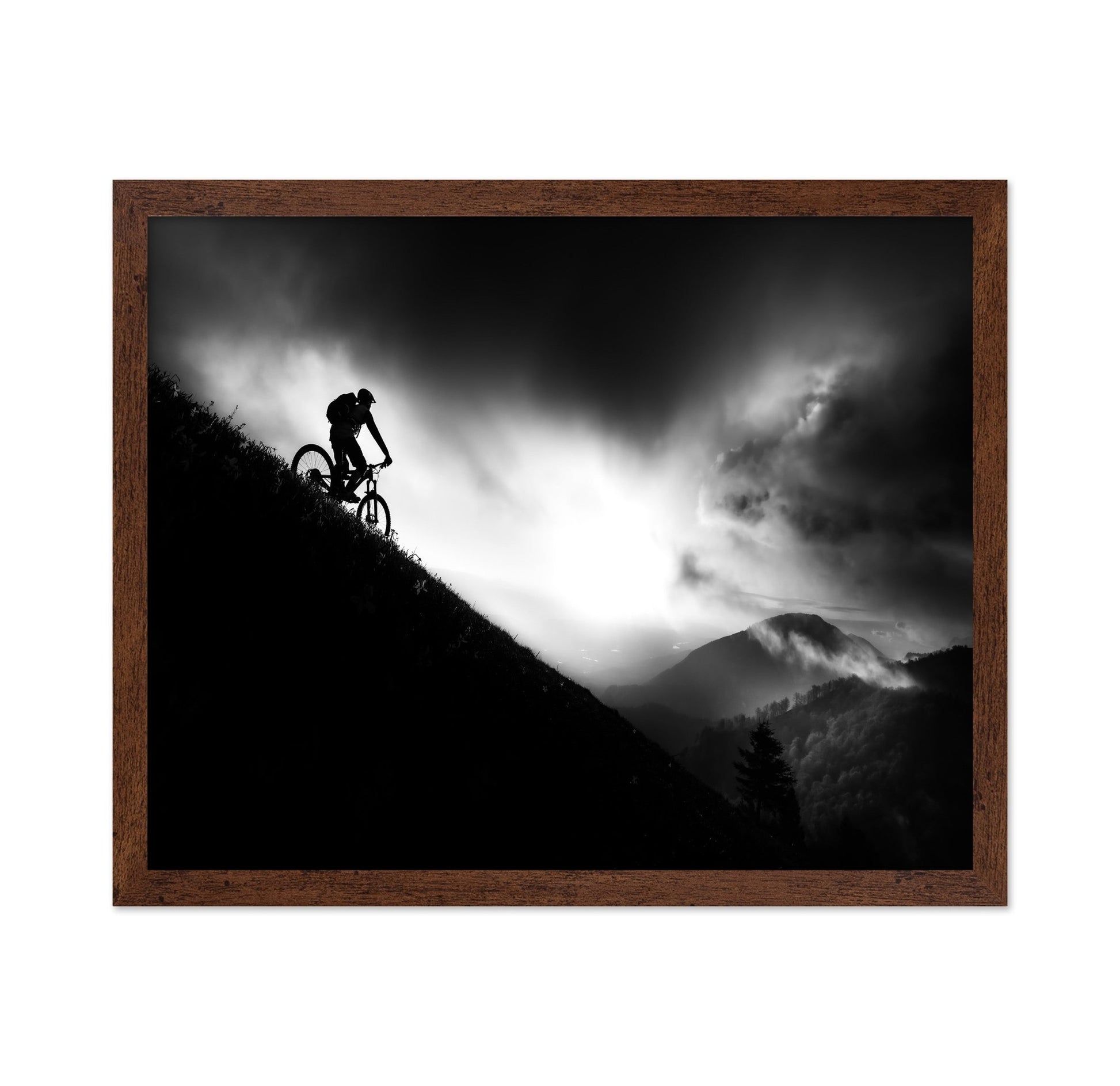 Mountain Bike Silhouette