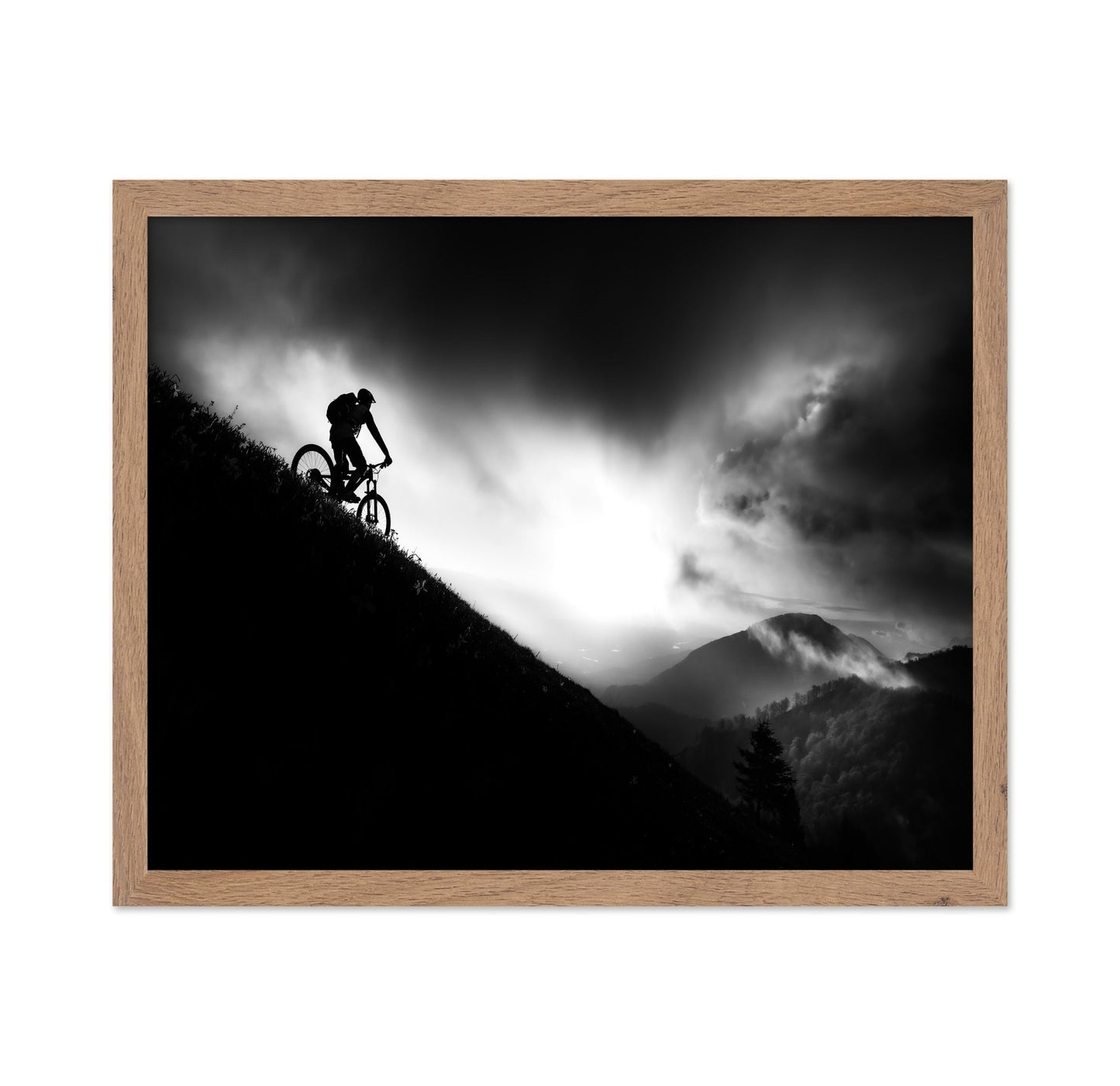 Mountain Bike Silhouette