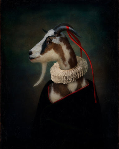 Noble Goat Portrait