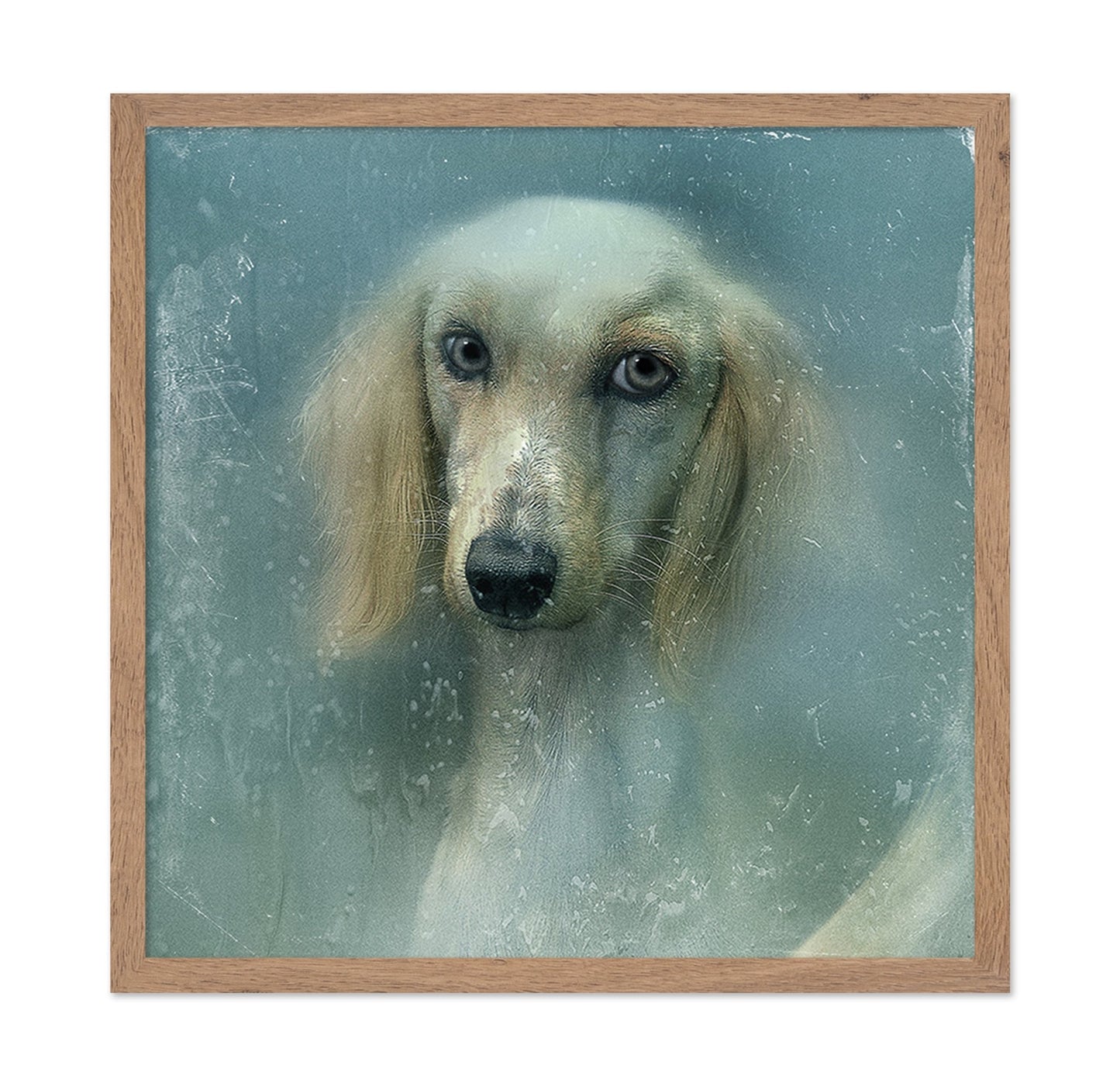 Misty Dog Portrait