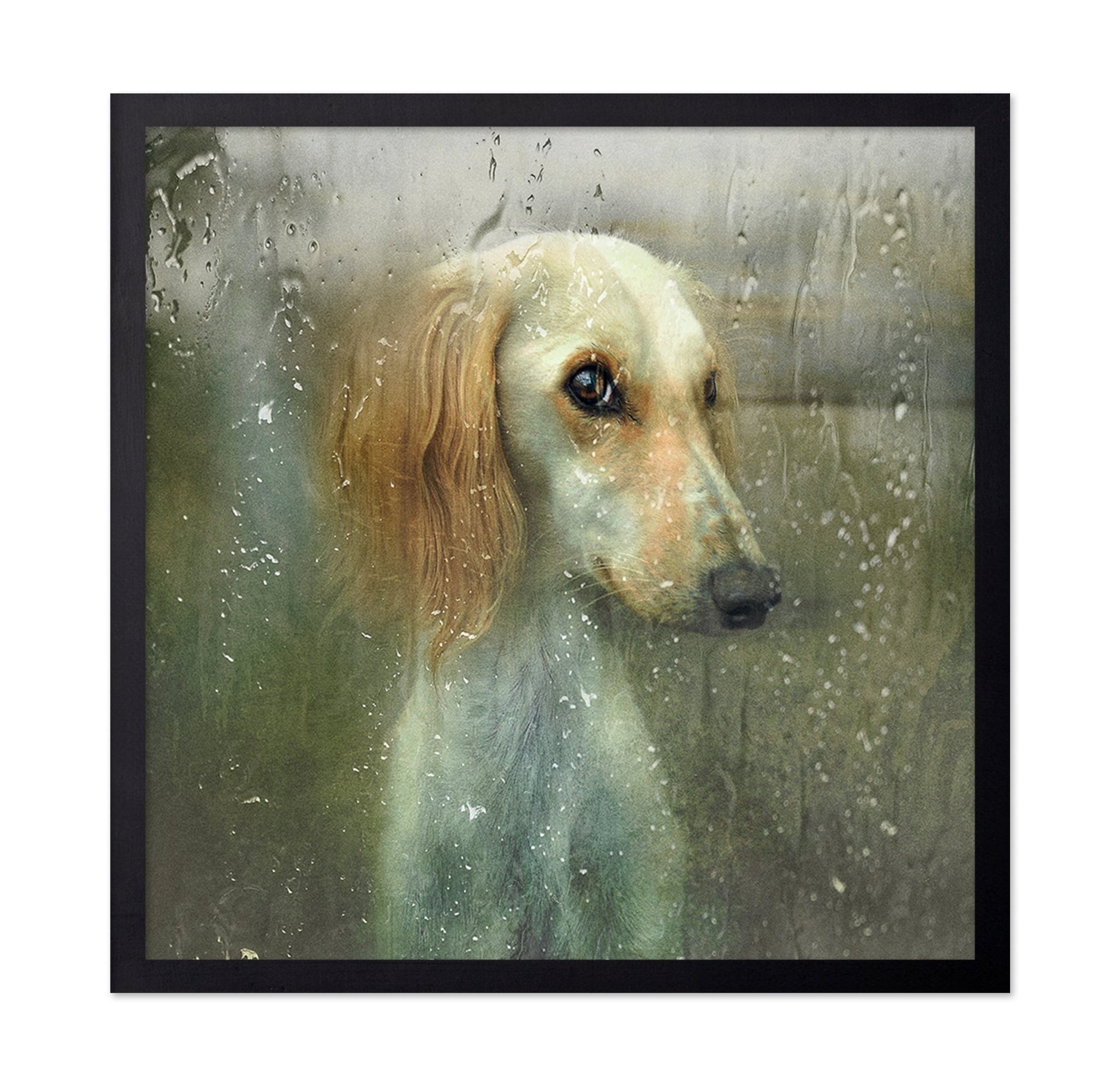 Rainy Dog Portrait