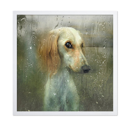 Rainy Dog Portrait