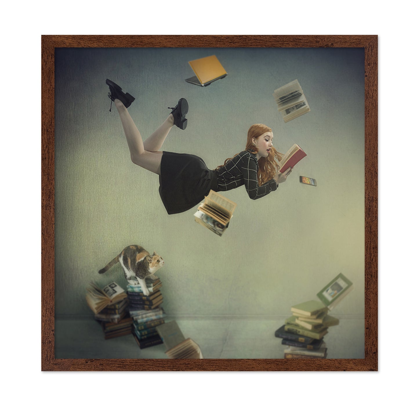 Floating Book Reader