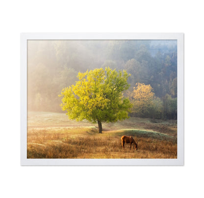 Golden Tree Meadow