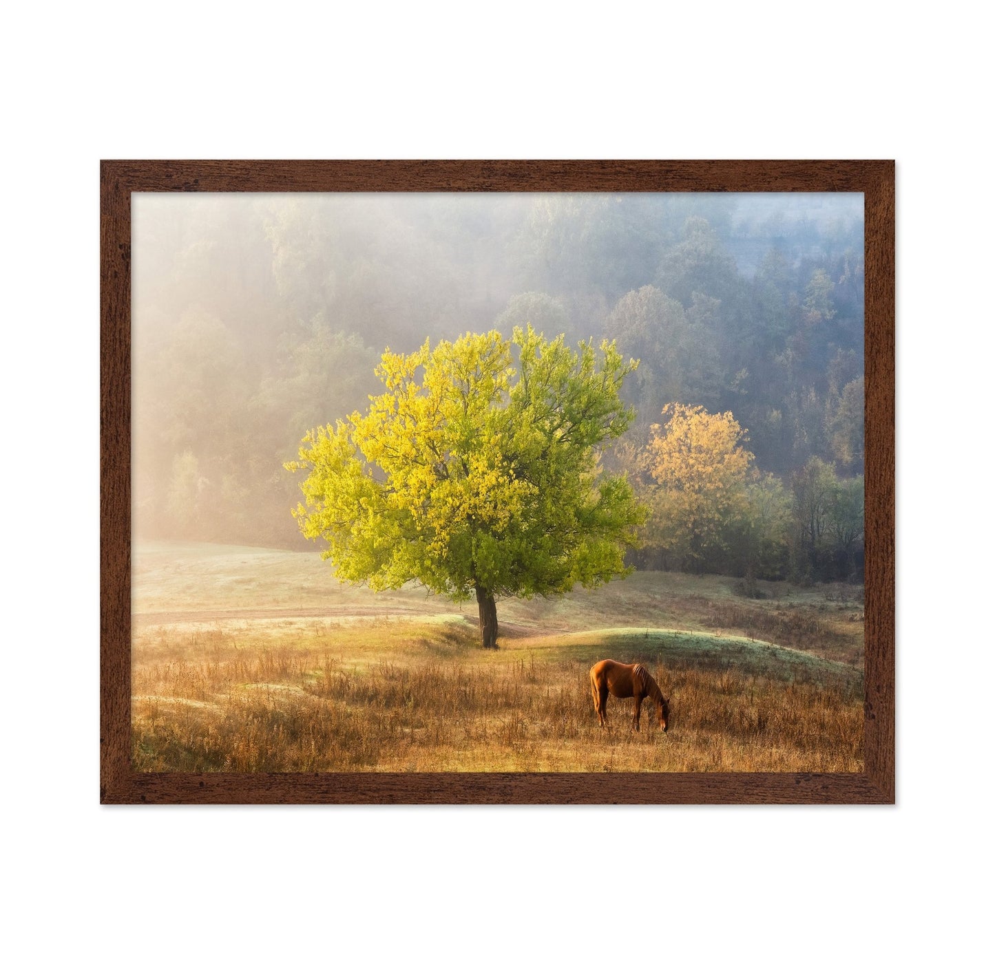 Golden Tree Meadow