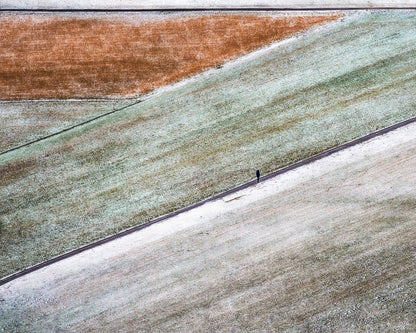 Winter Field Walk