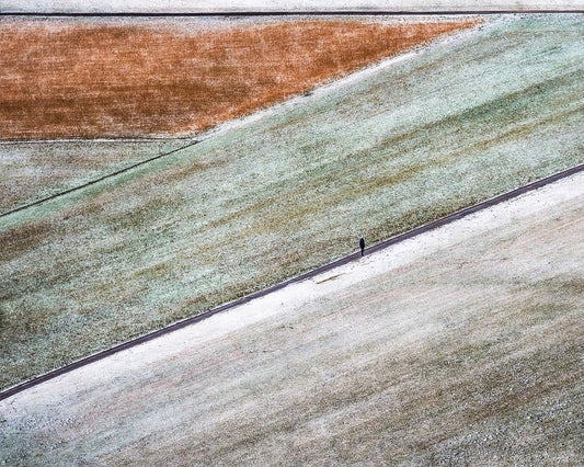 Winter Field Walk