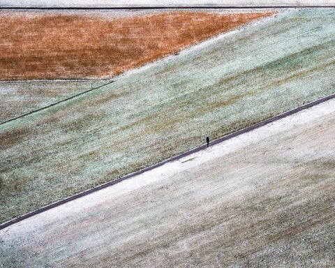 Winter Field Walk