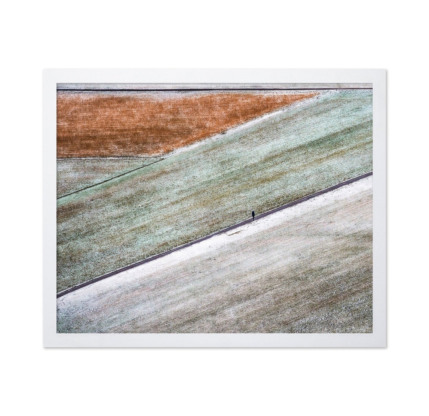 Winter Field Walk