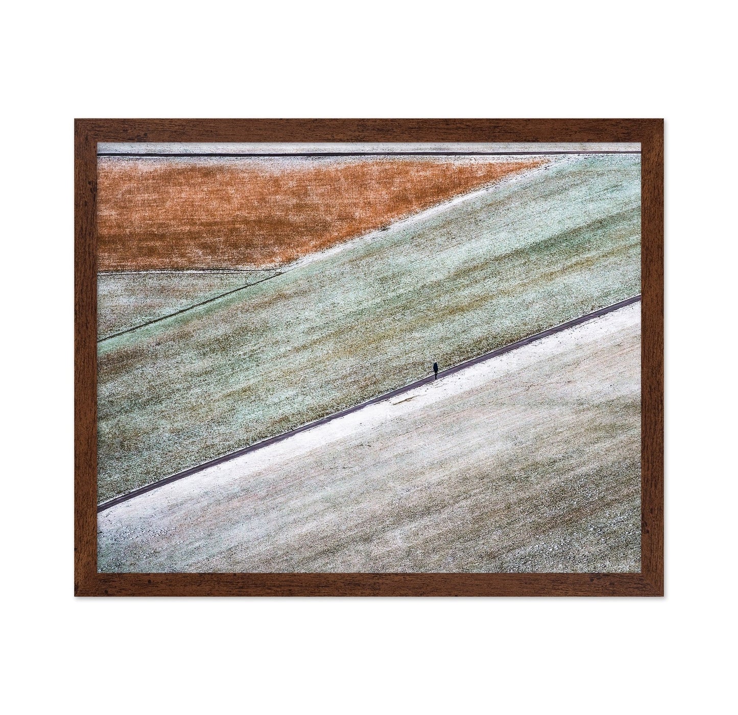 Winter Field Walk