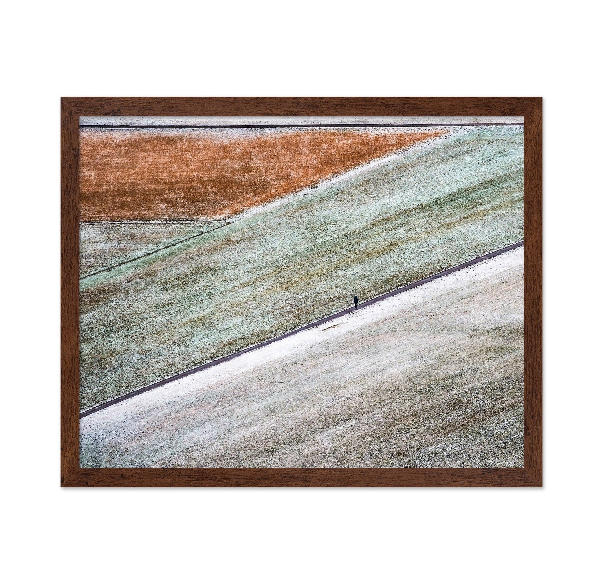 Winter Field Walk