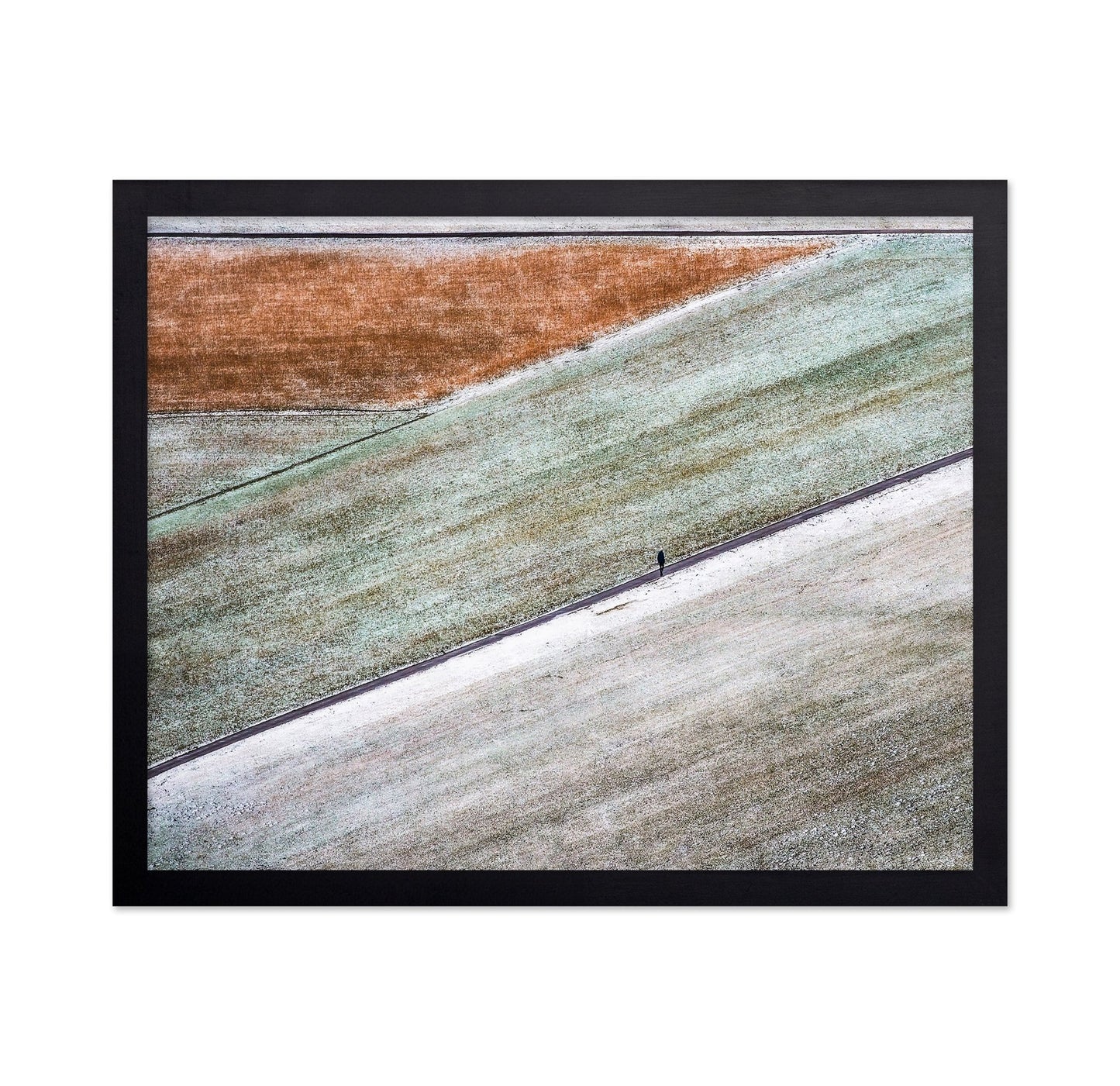Winter Field Walk
