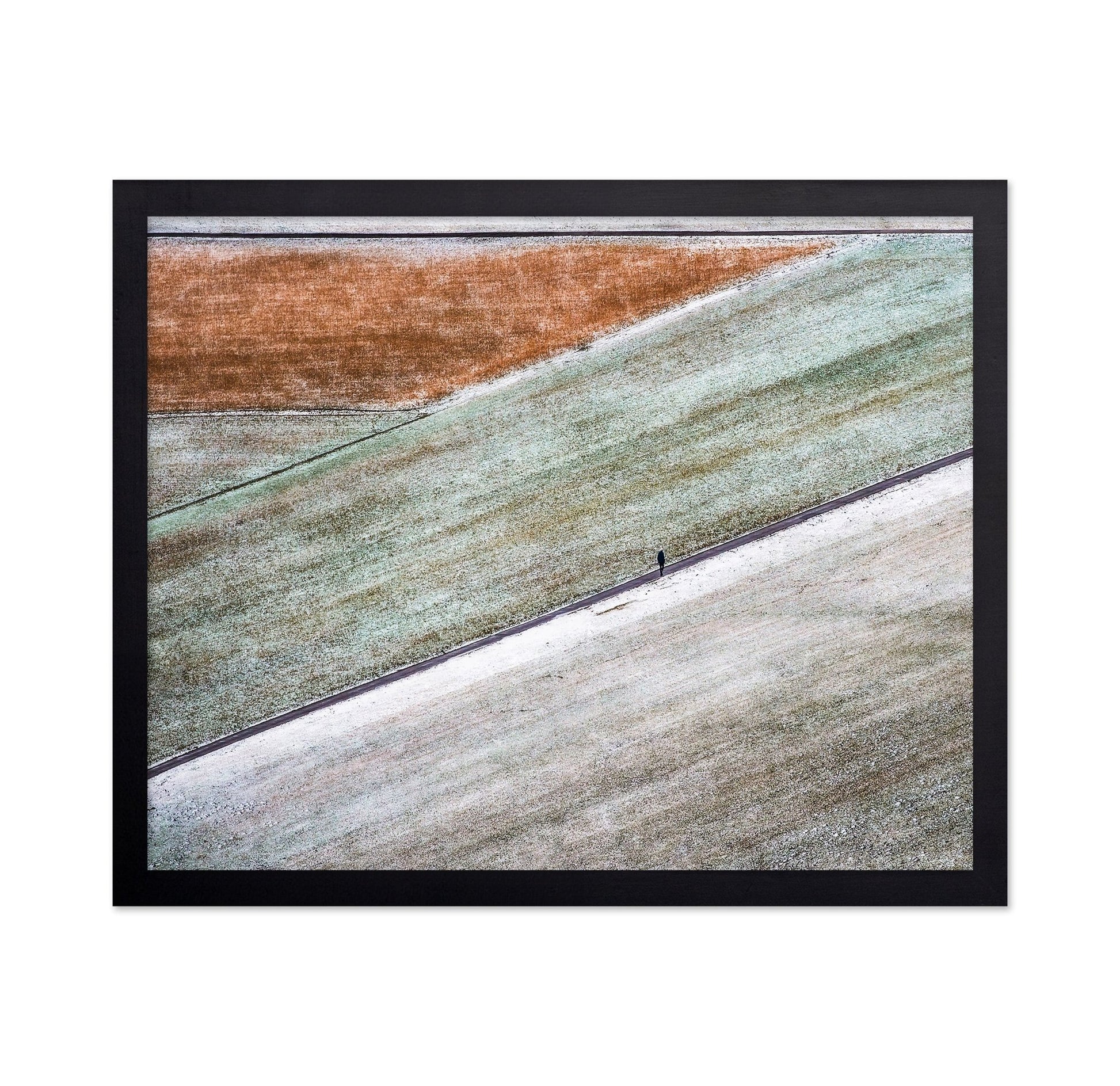 Winter Field Walk