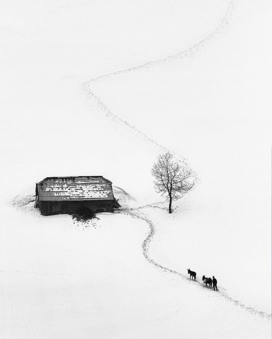 Snow Path Journey