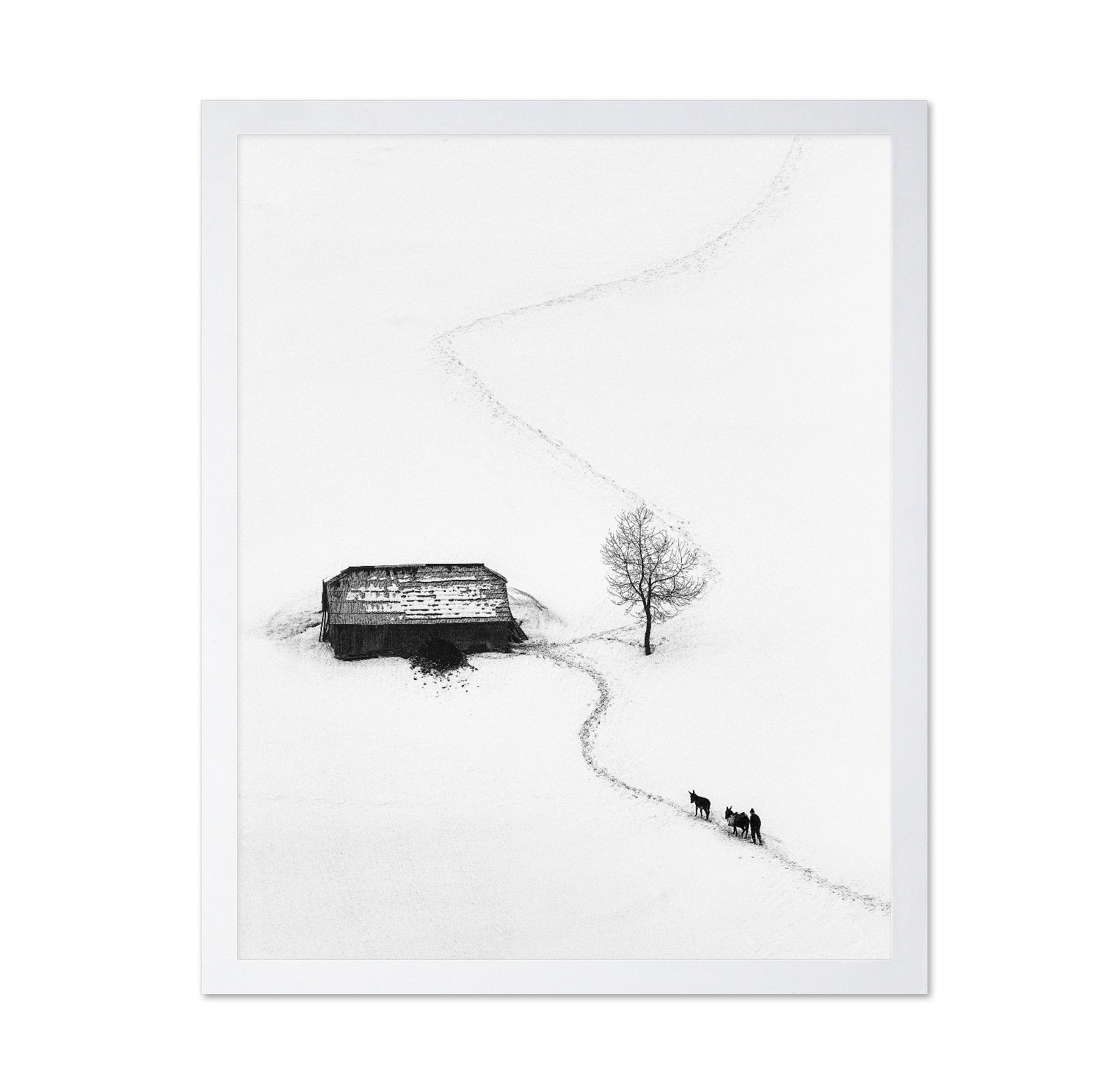 Snow Path Journey