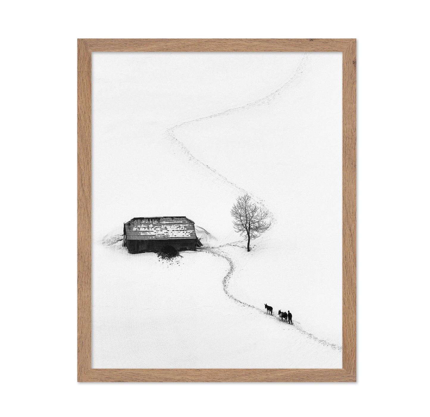 Snow Path Journey