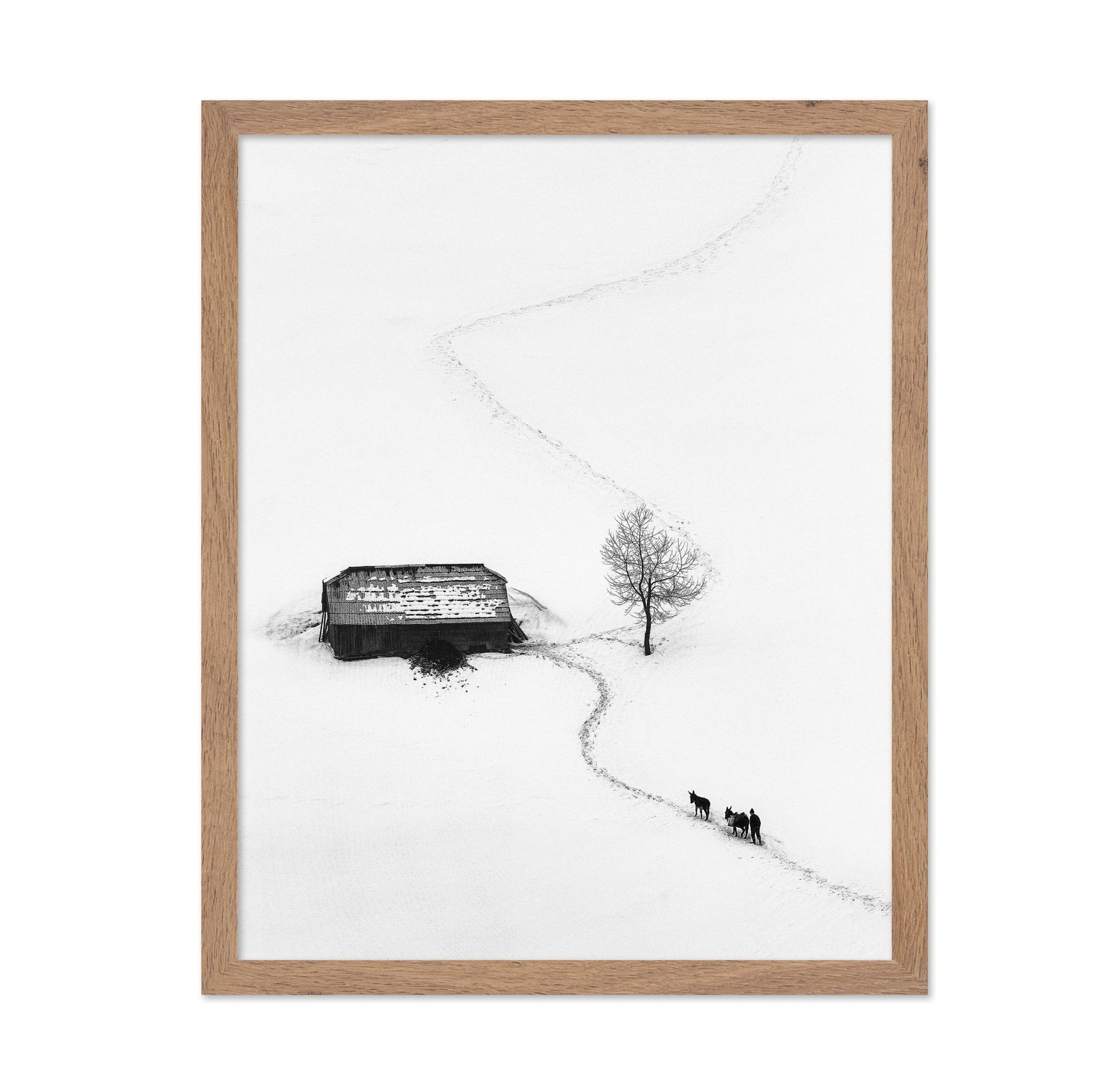 Snow Path Journey