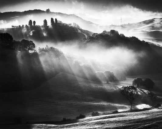 Misty Hills Light
