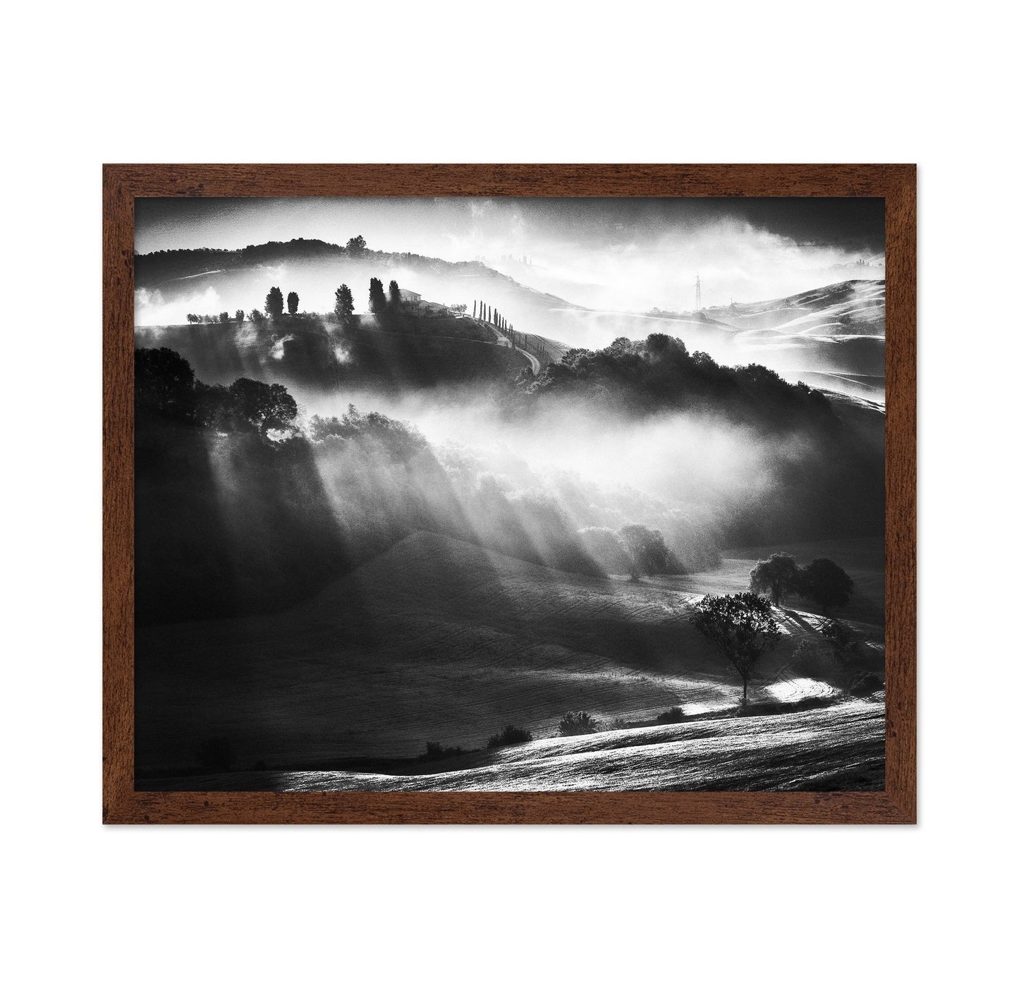 Misty Hills Light
