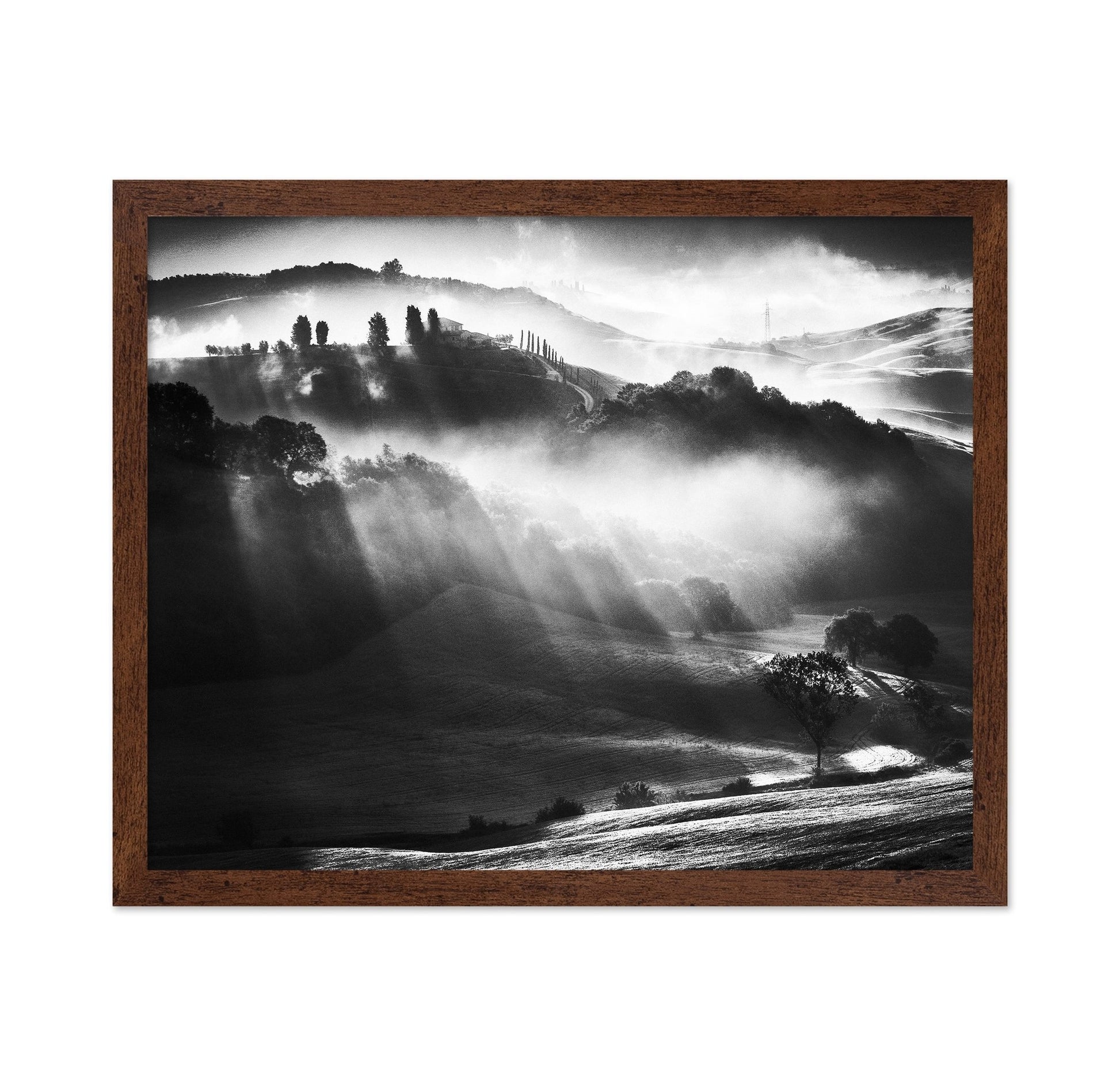 Misty Hills Light
