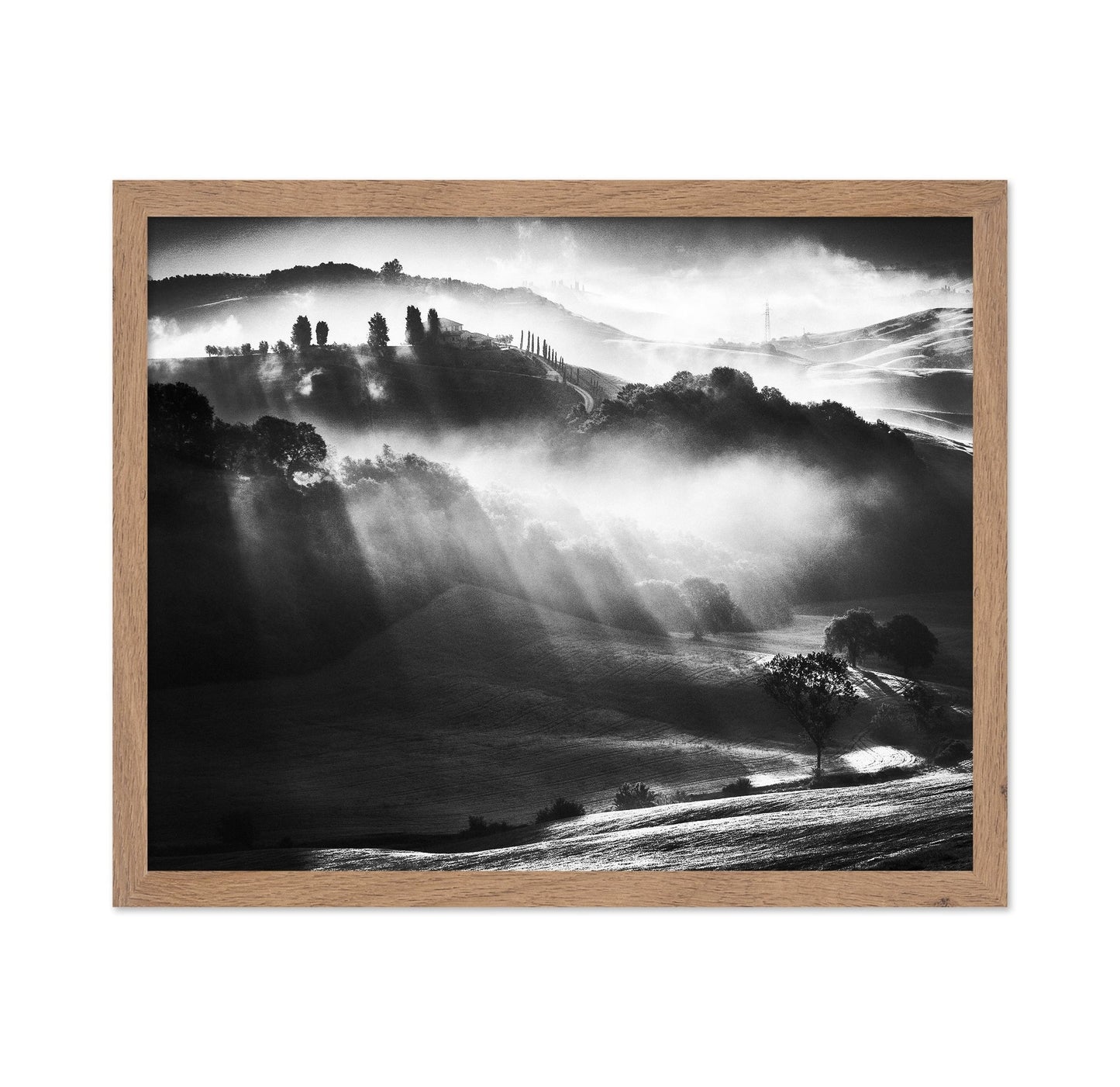 Misty Hills Light