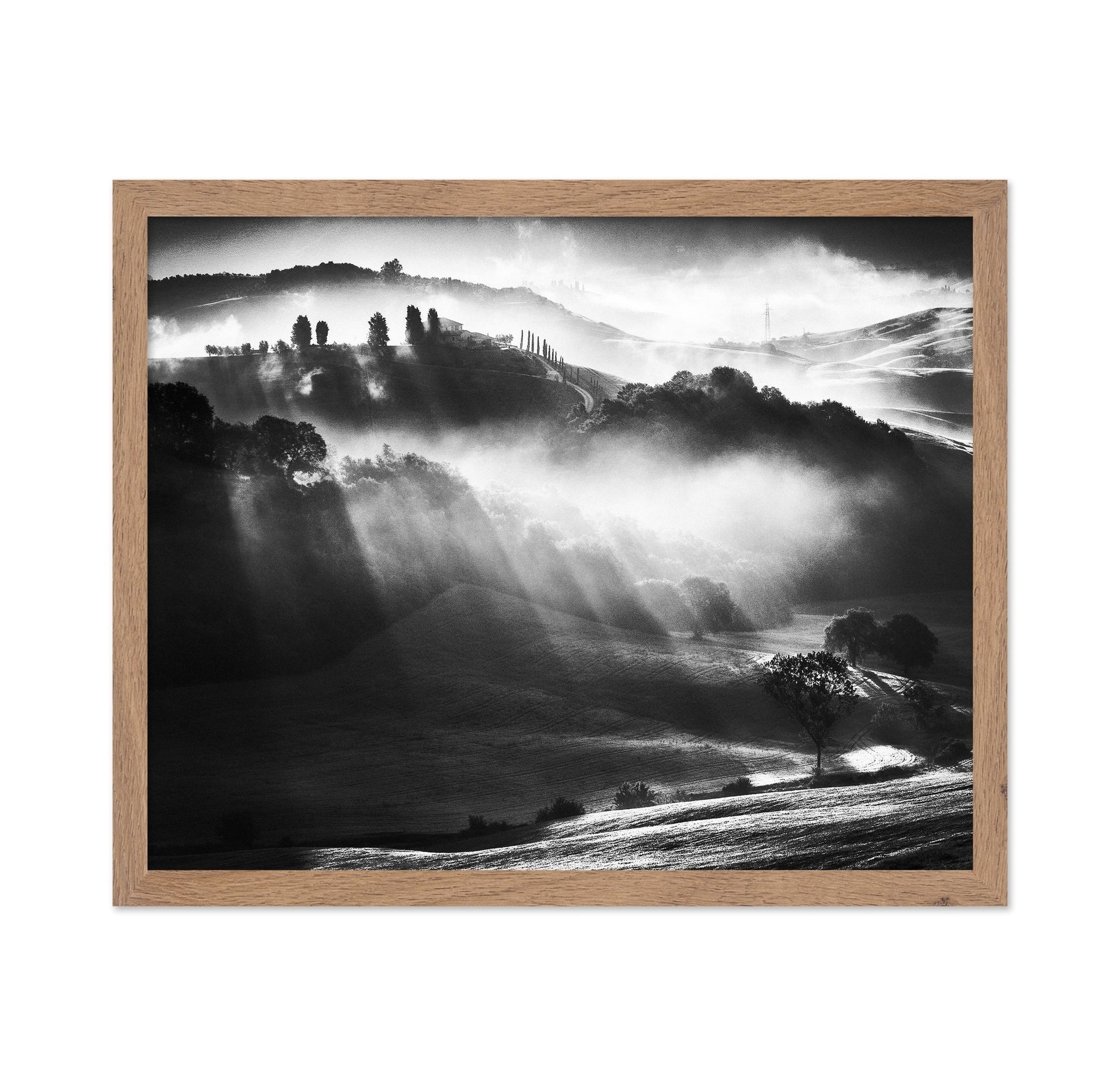 Misty Hills Light