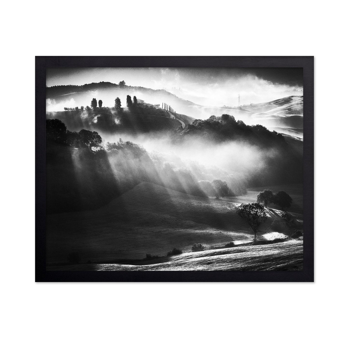 Misty Hills Light