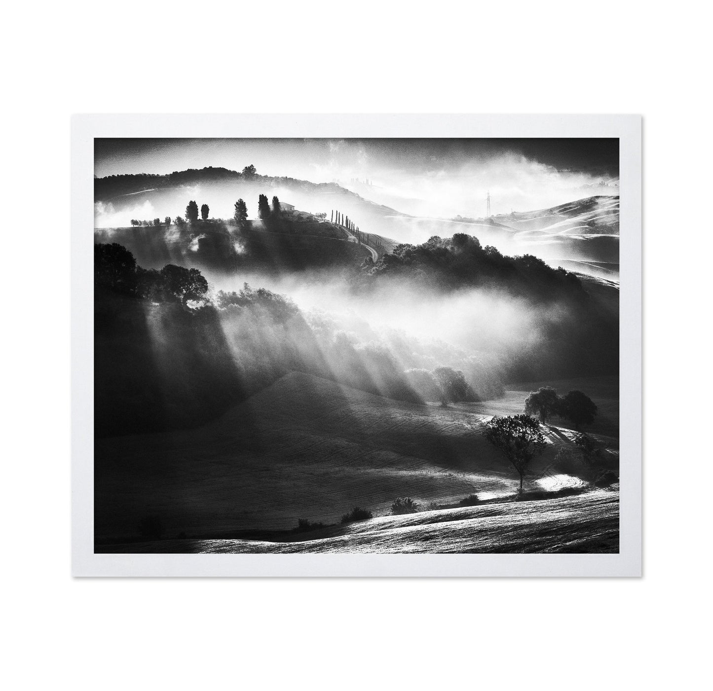 Misty Hills Light