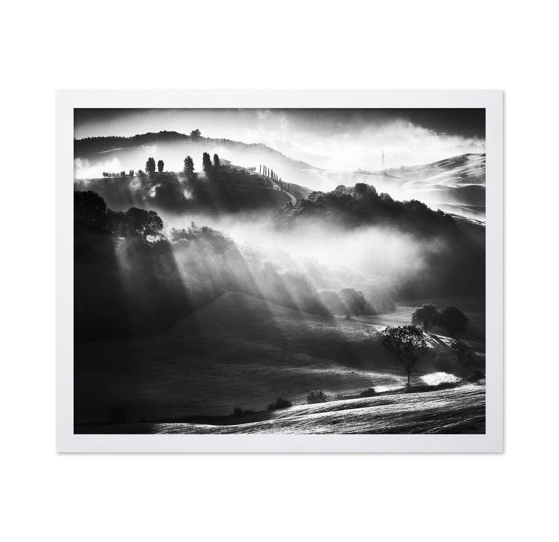 Misty Hills Light