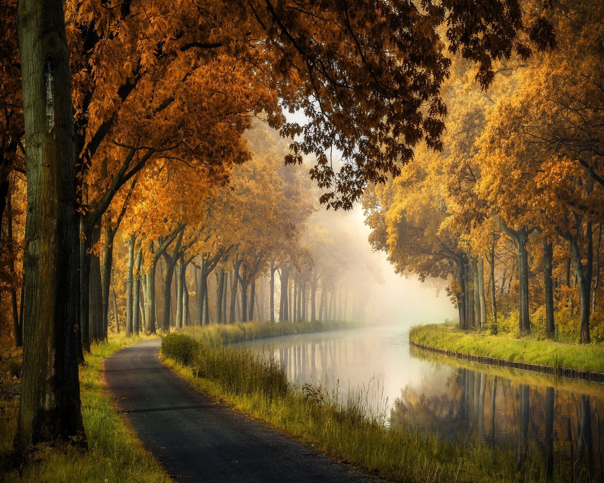 Autumn Canal Path
