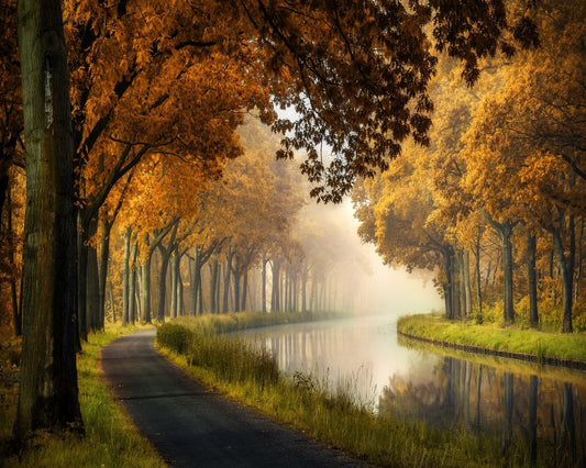 Autumn Canal Path