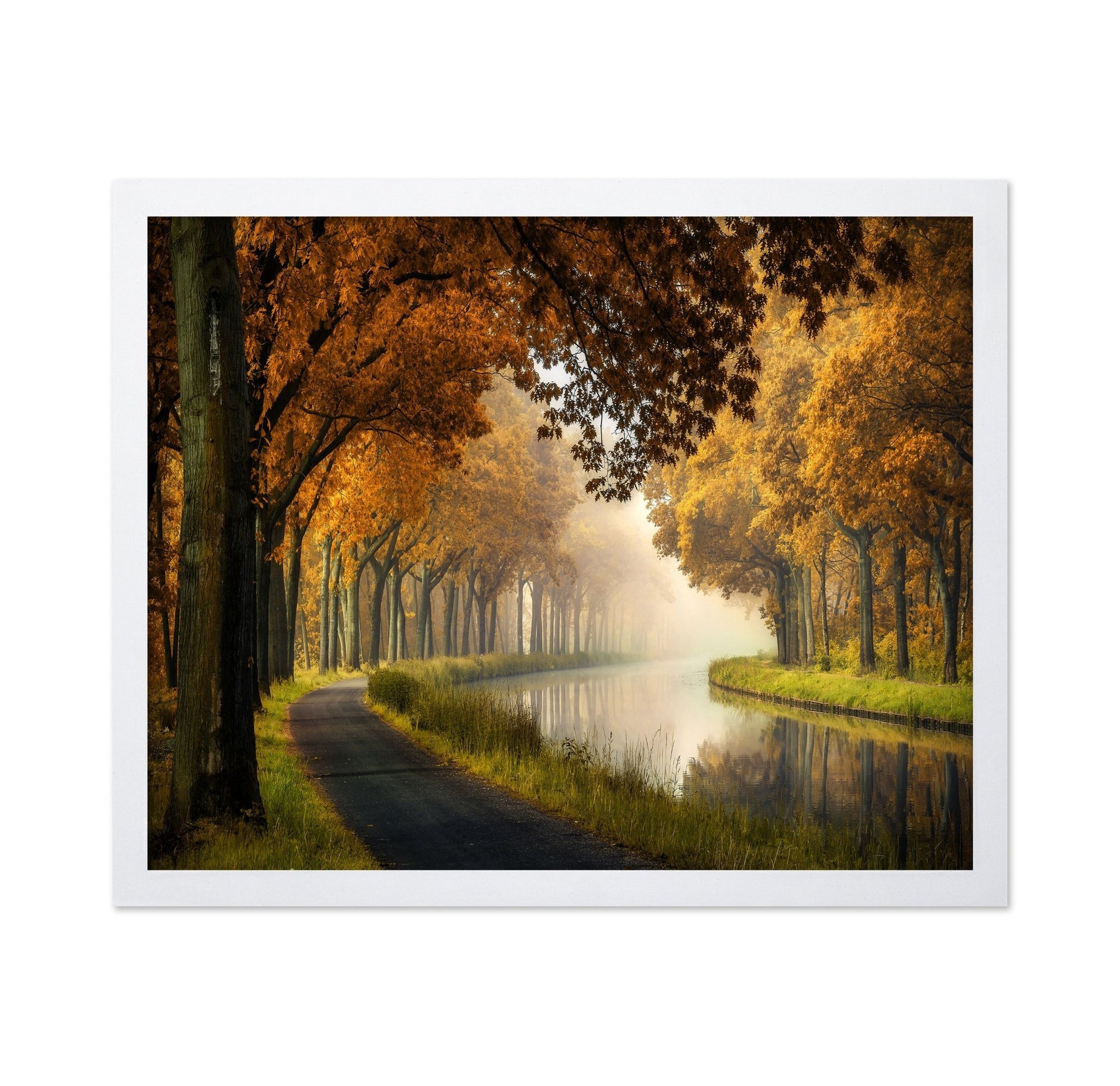 Autumn Canal Path