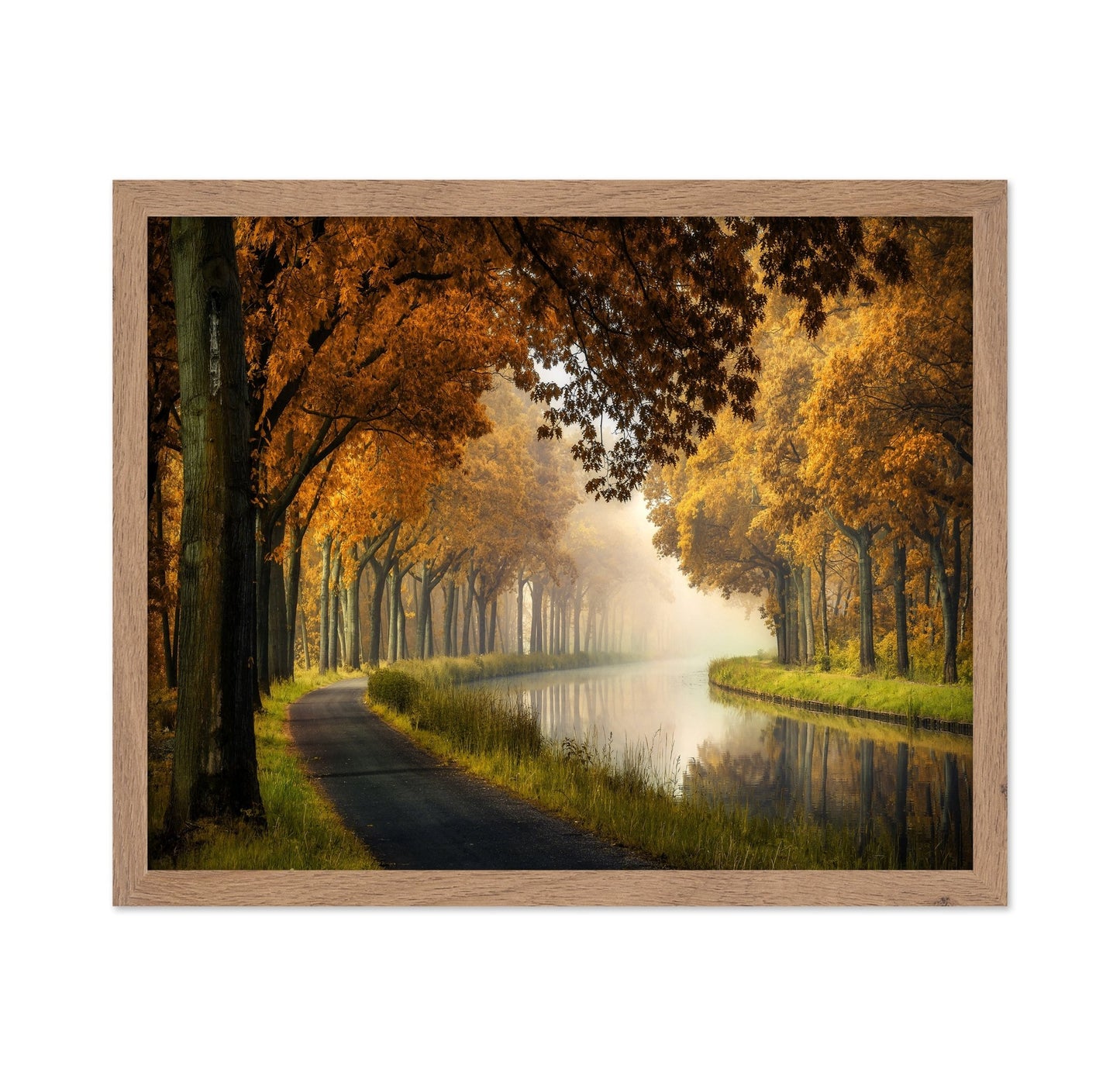 Autumn Canal Path