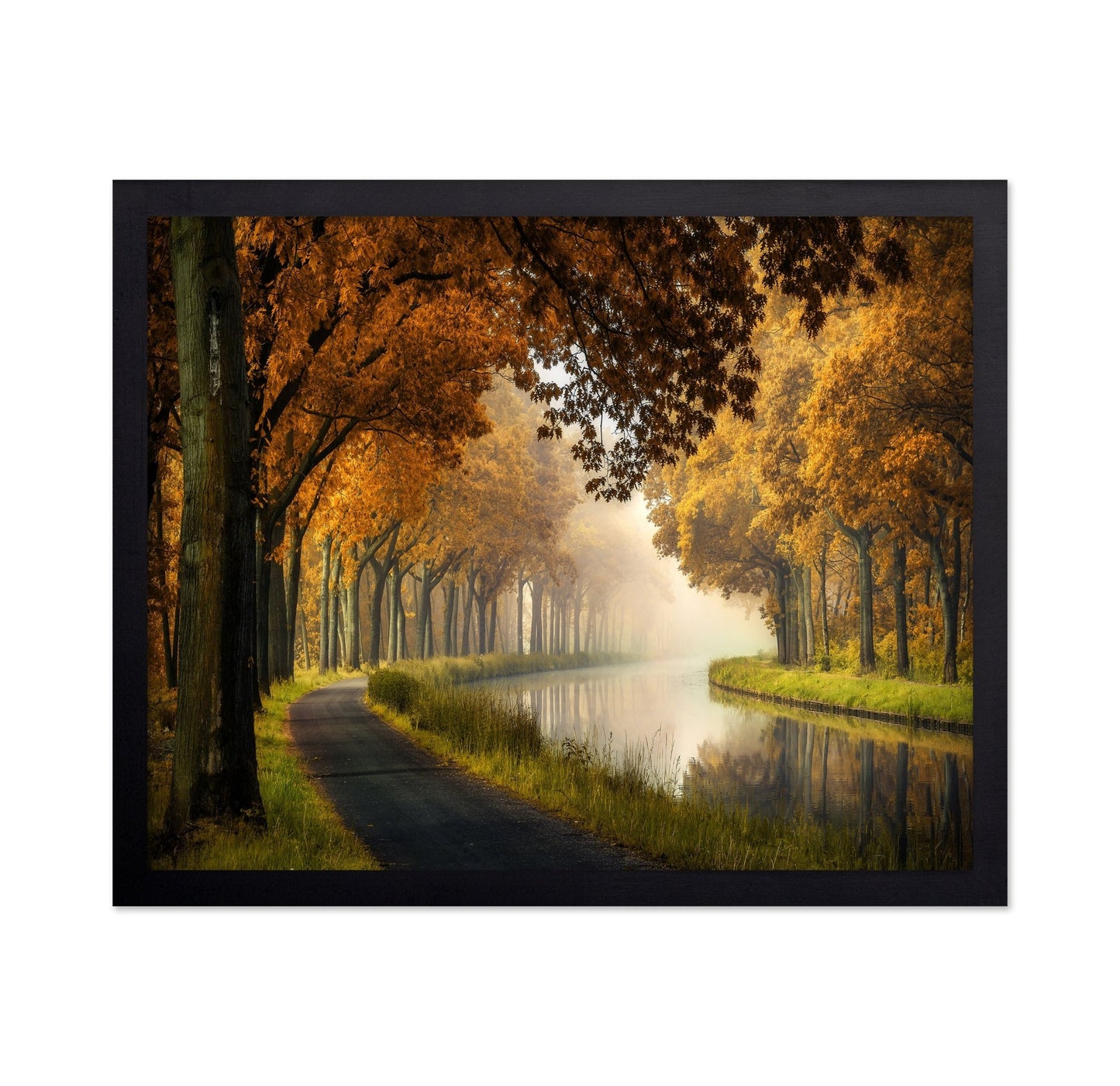 Autumn Canal Path