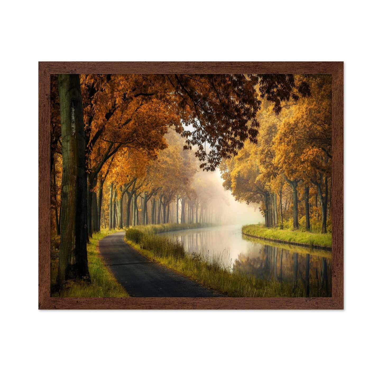 Autumn Canal Path