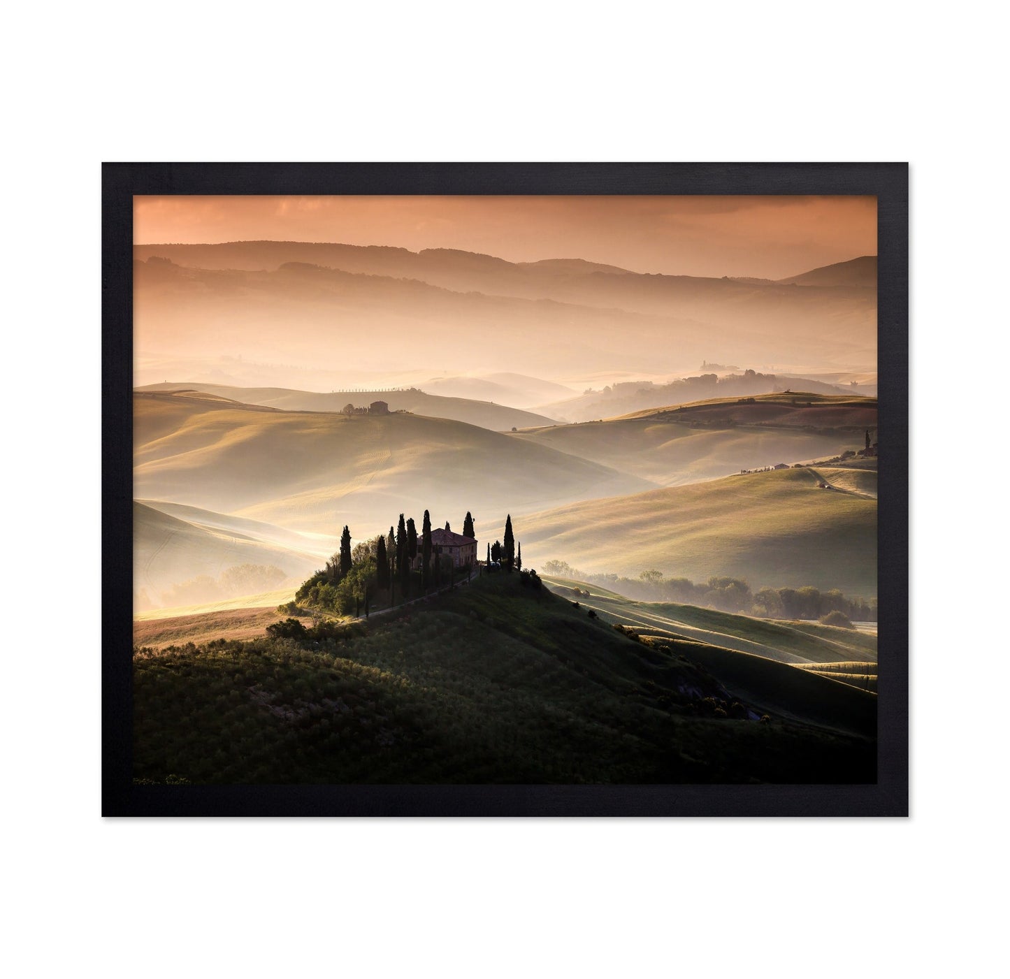 Golden Tuscan Hills