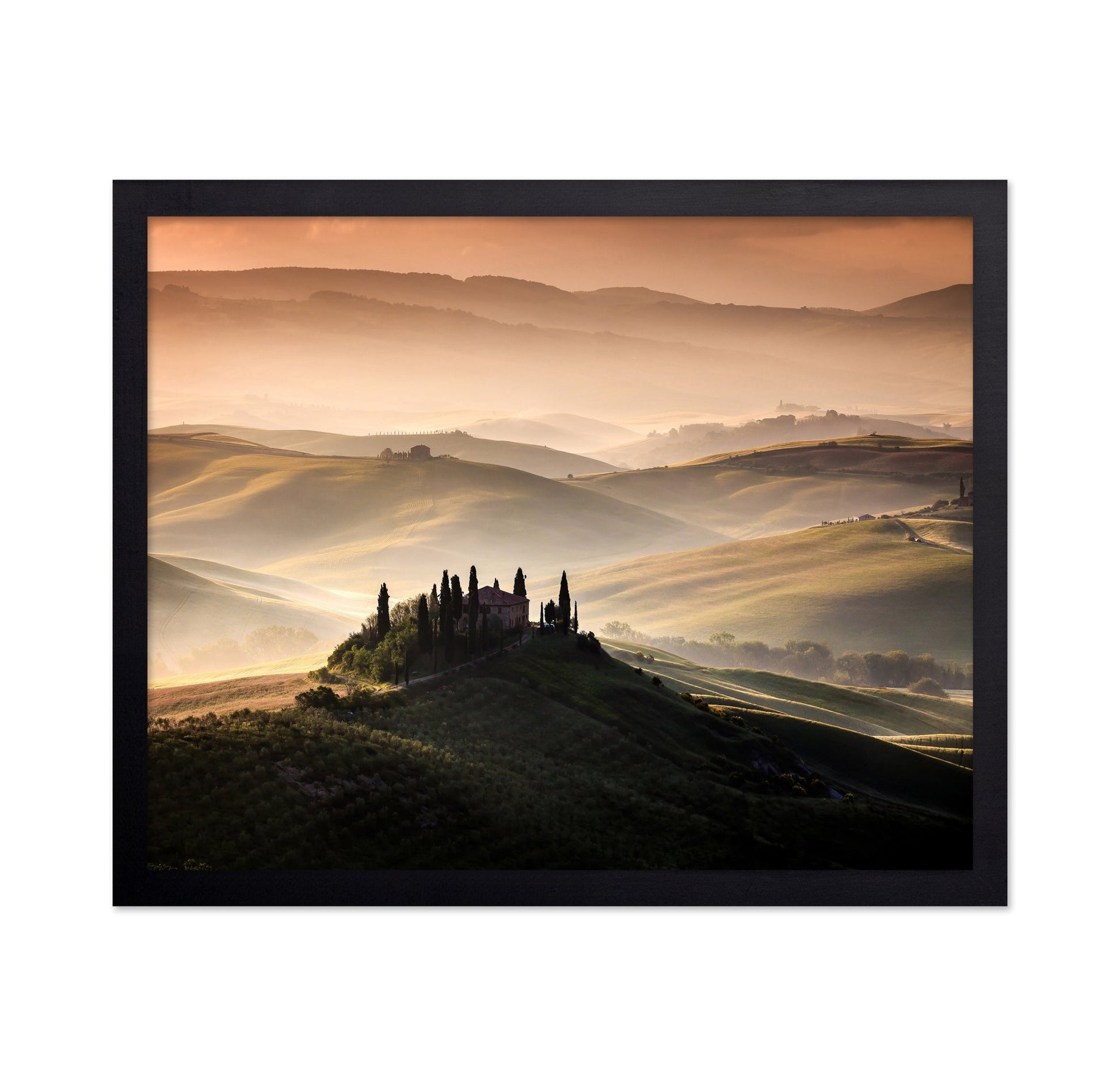 Golden Tuscan Hills