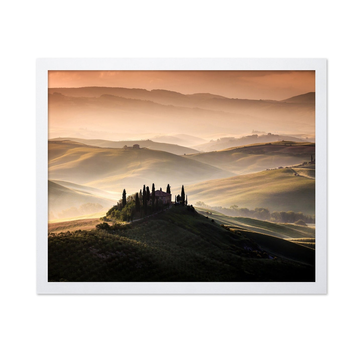 Golden Tuscan Hills