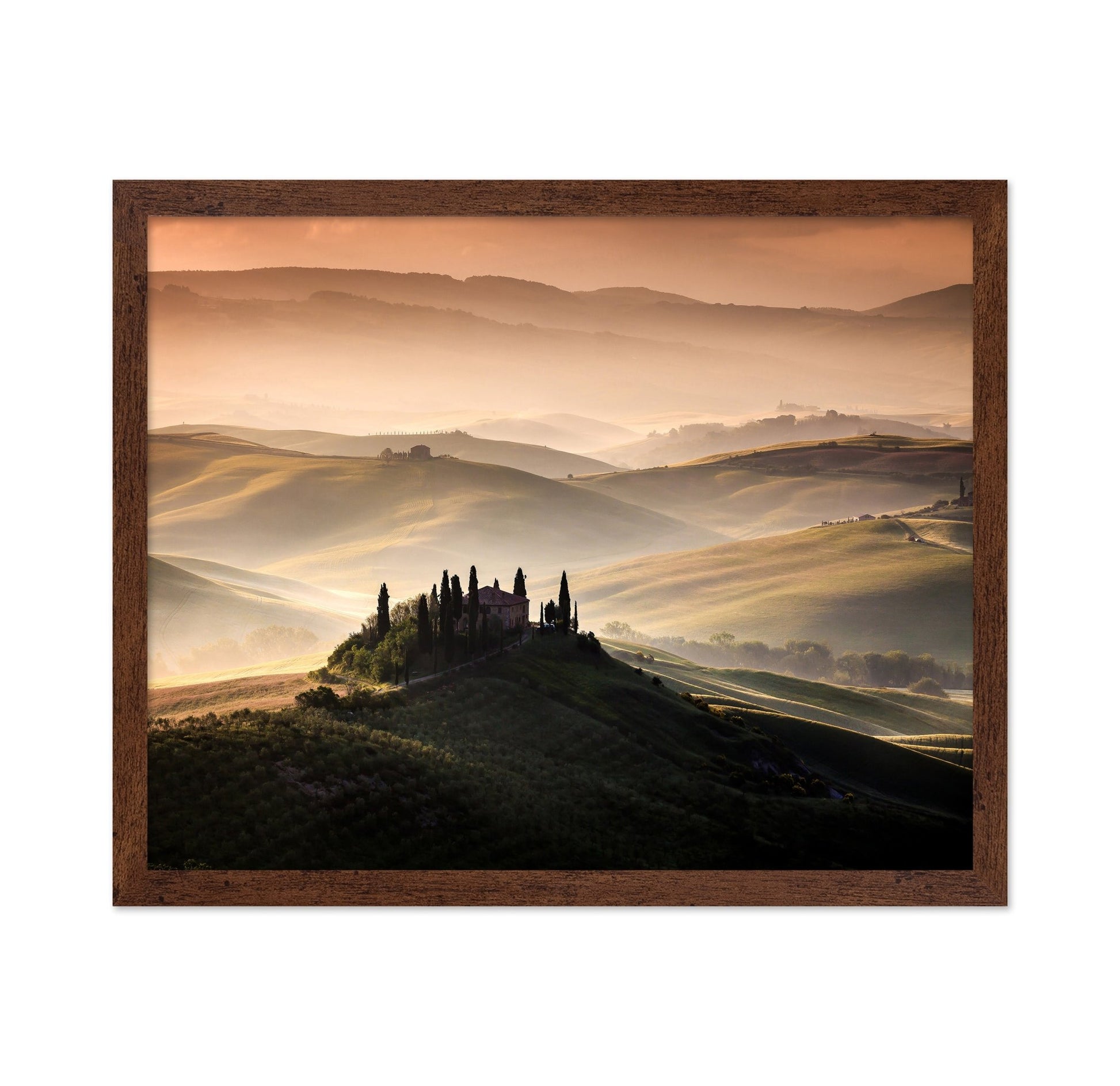 Golden Tuscan Hills