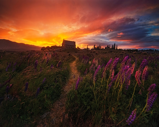 Sunset Wildflower Path