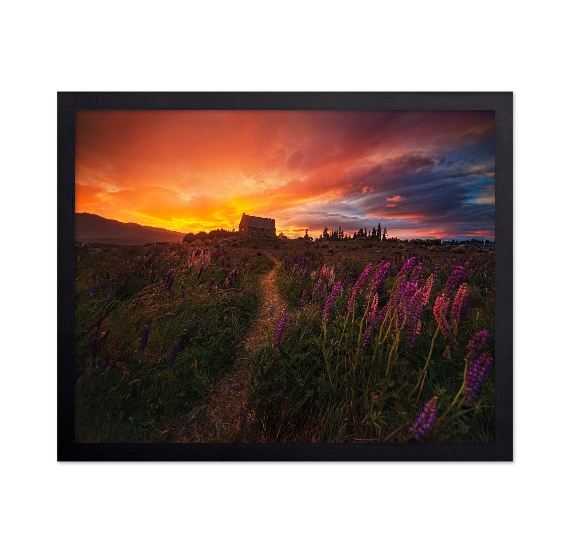 Sunset Wildflower Path