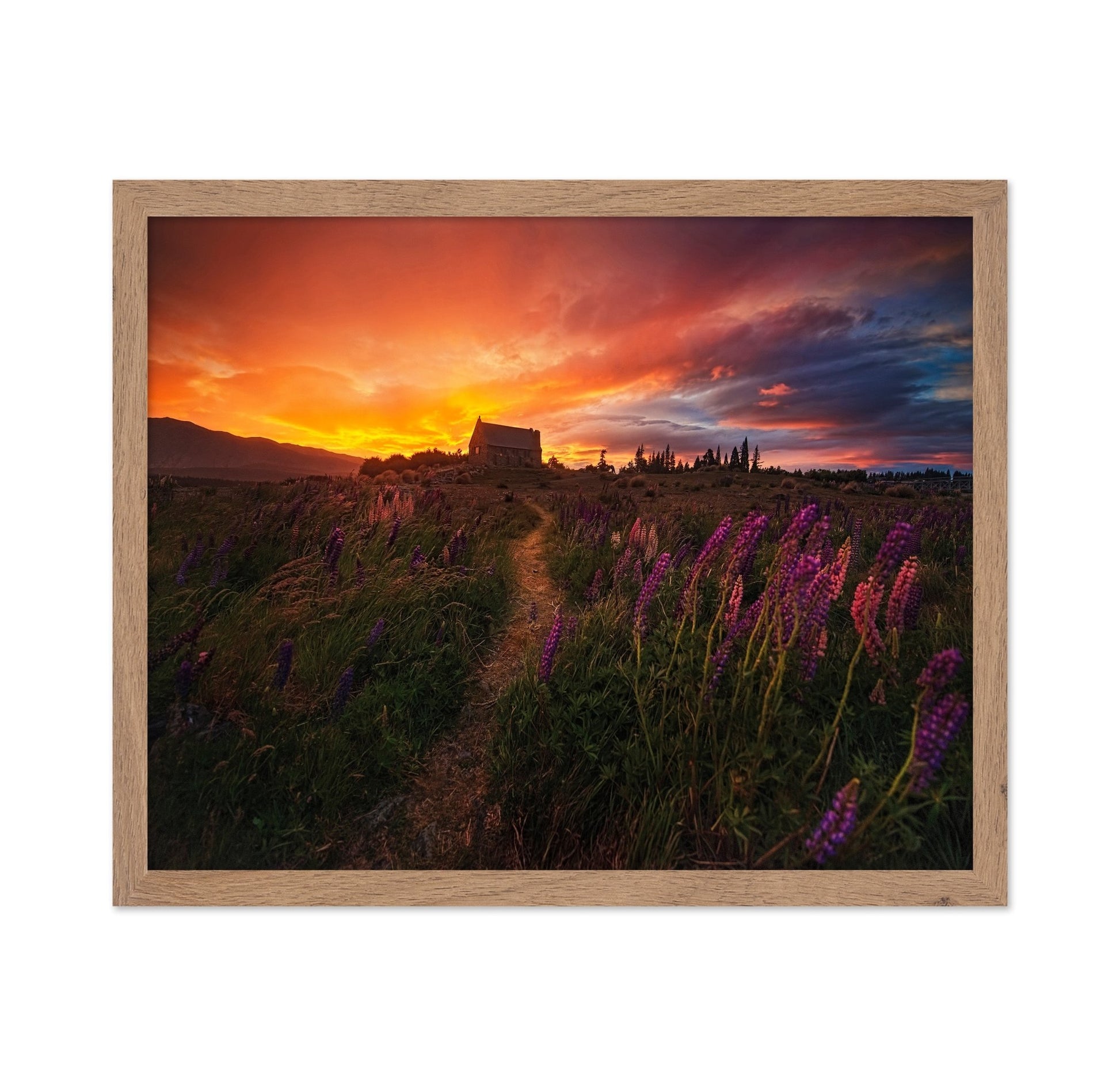 Sunset Wildflower Path