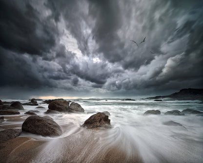 Stormy Coastal Waves