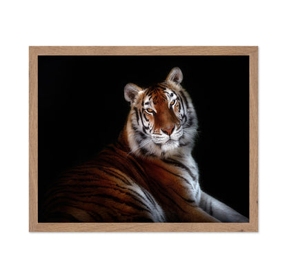 Regal Tiger Portrait
