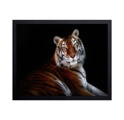 Regal Tiger Portrait