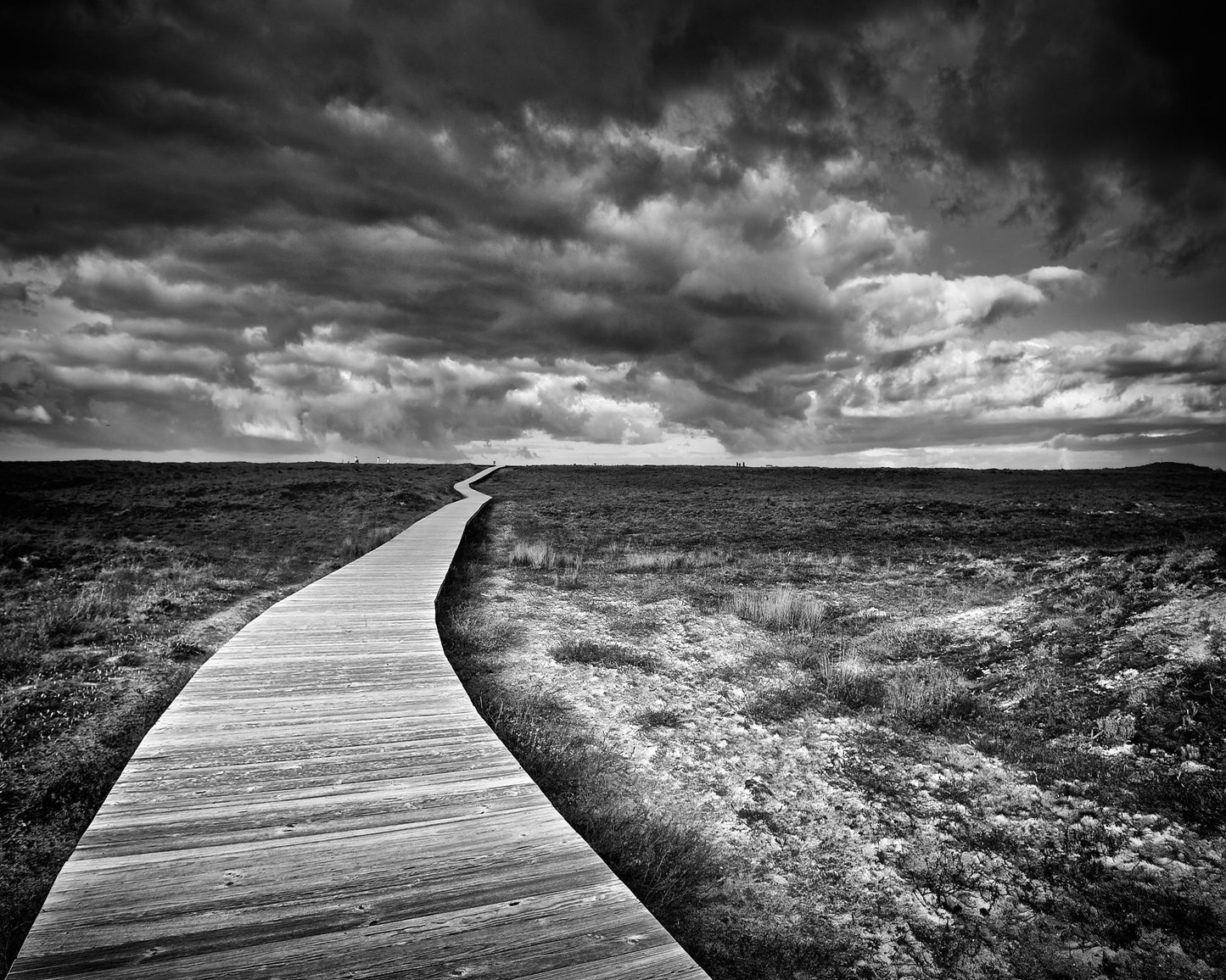 Endless Boardwalk Path