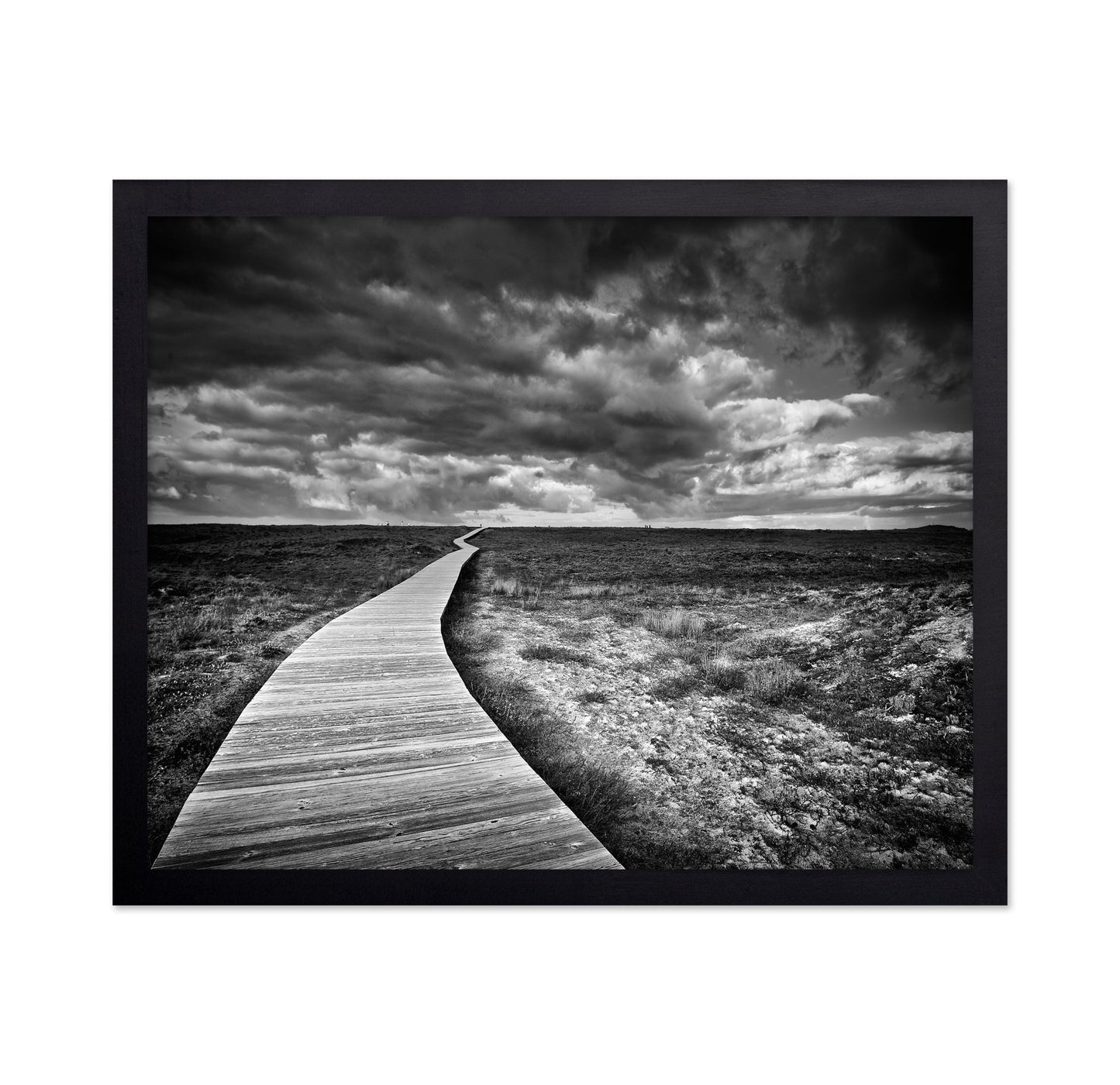 Endless Boardwalk Path